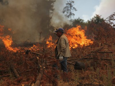 /2023/02/28/incendios-forestales-98-de-los-detenidos-por-presunta-responsabilidad-son-chilenos