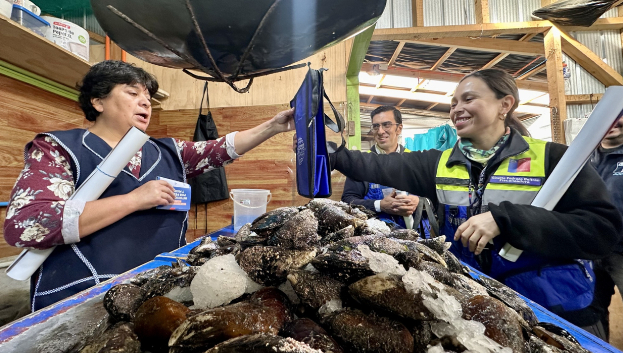/fiscalizaciones-en-lebu-por-semana-santa