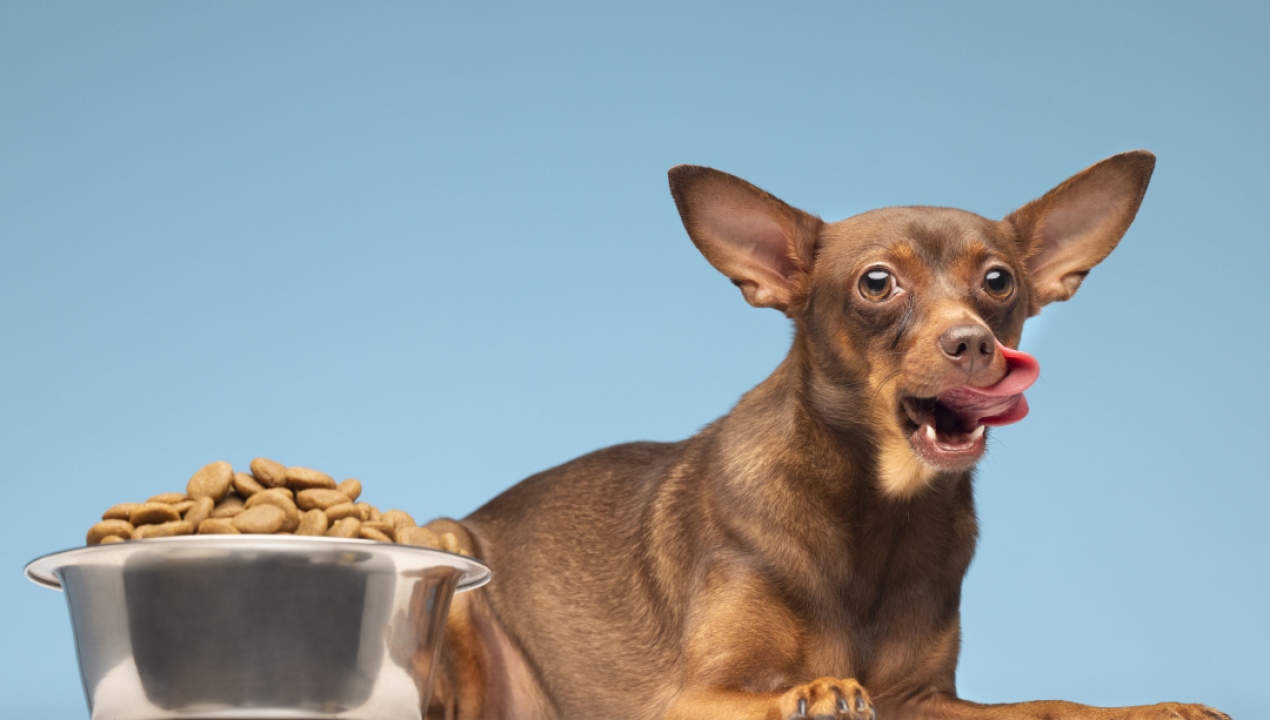 /experto-explica-como-leer-correctamente-las-etiquetas-de-alimentos-para