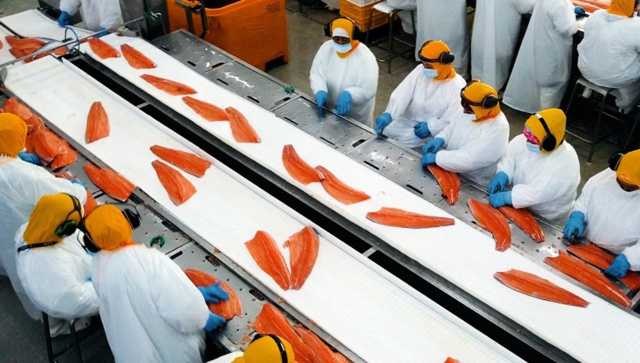 /salmonchile-rechaza-arancel-estados-unidos-salmon-chileno
