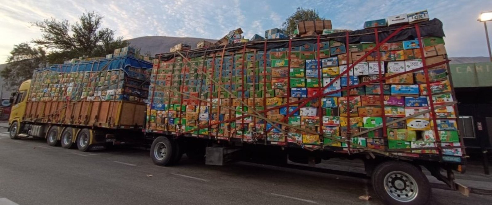 SAG intercepta camión con 32 mil kilos de productos agrícolas en la barrera sanitaria de Cuya