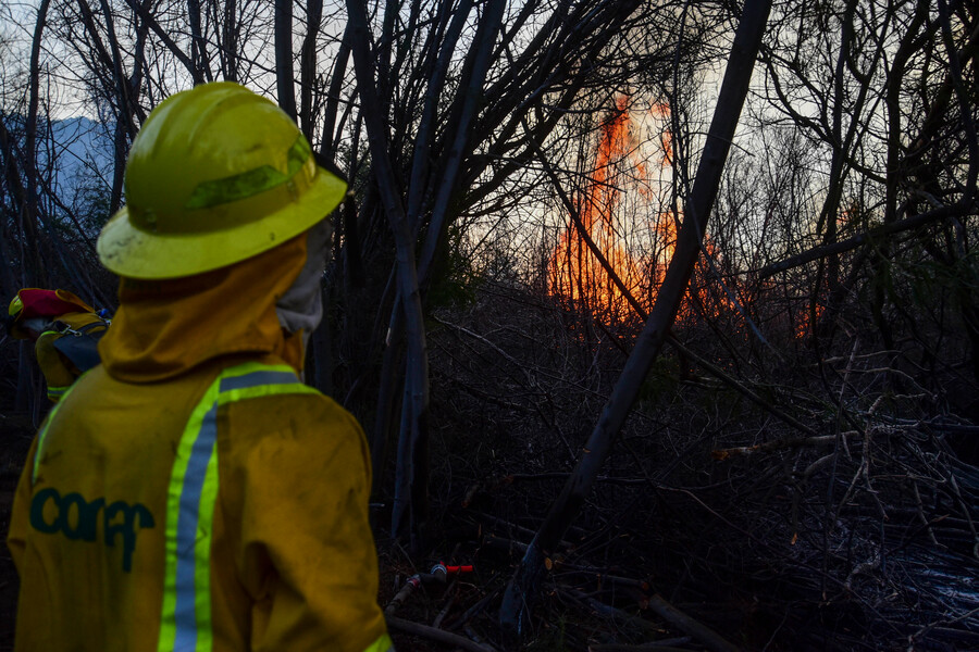 /bomberos-que-apagaban-incendio-forestal-fueron-insultados-y-amenazados-en-talcahuano