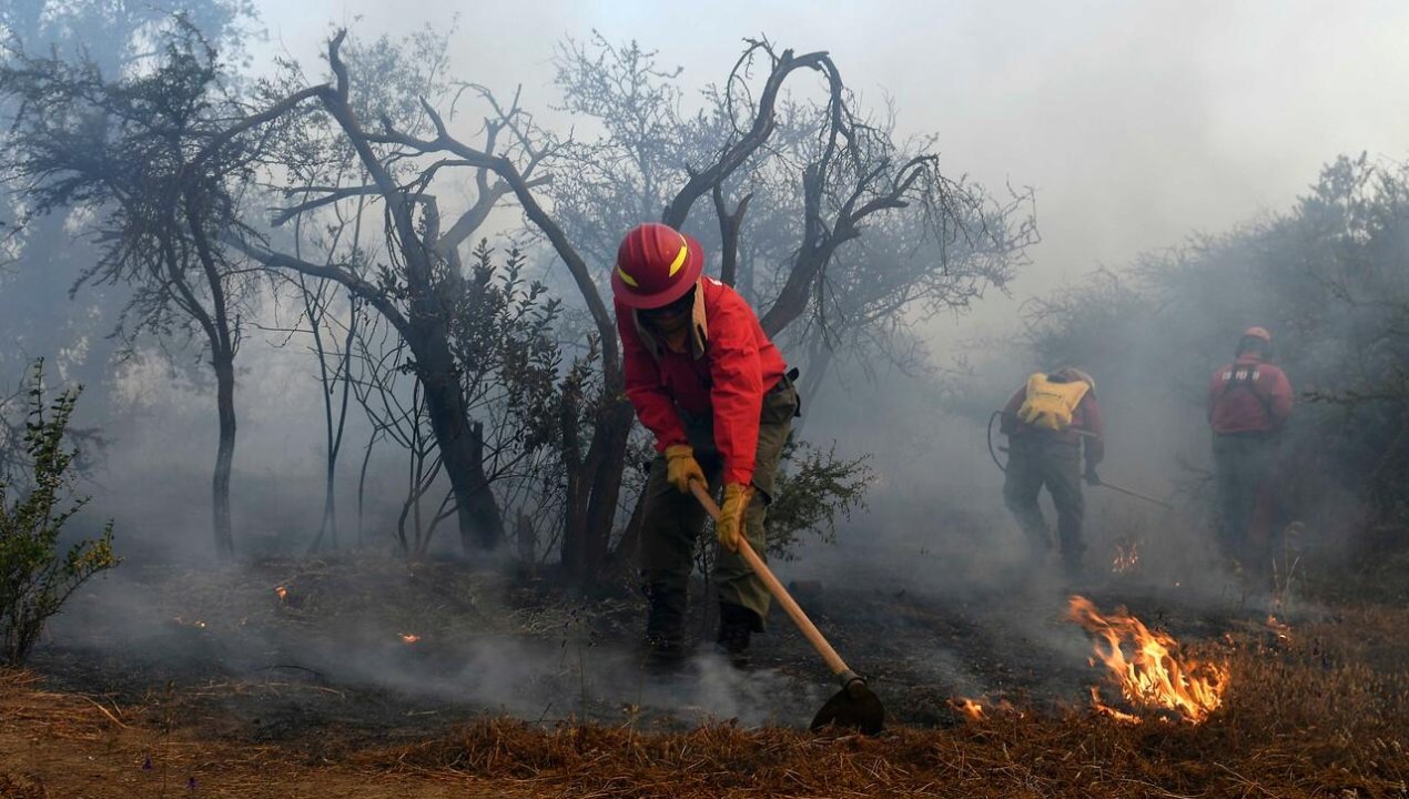 /incendios-forestales-gobierno-llama-a-fiscalia-a-ser-mas-proactivos-en-investigar-y-evitar-impunidad