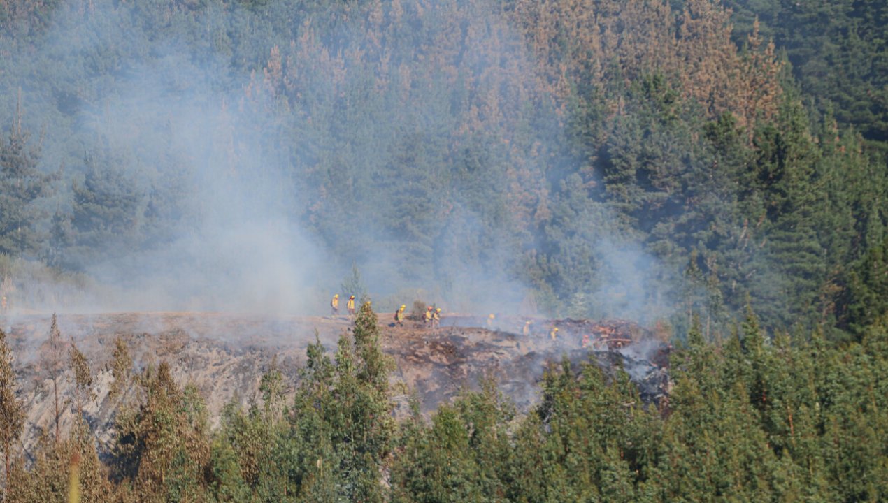 /nuble-se-mantiene-en-alerta-roja-tres-nuevos-focos-de-incendios-forestales