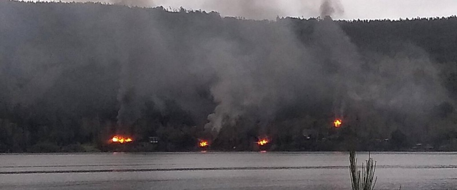 Cuatro inmuebles destruidos tras ataque incendiario en ribera de Lago Lanalhue