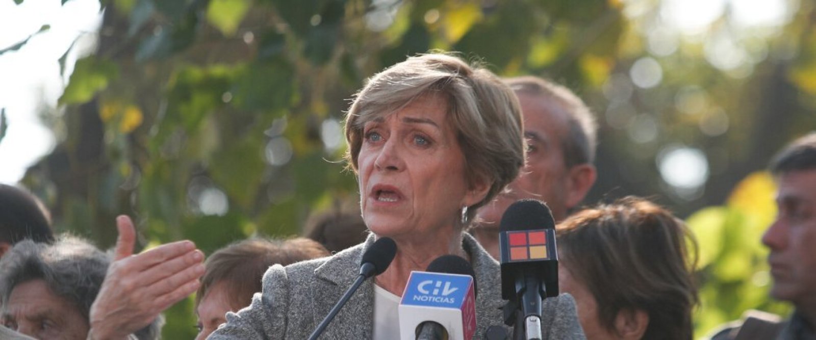 Evelyn Matthei en problemas: Servel la oficia por posible campaña anticipada