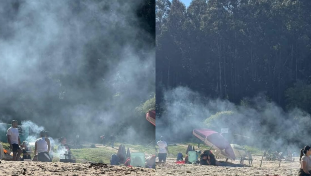 /actualidad/denuncian-asados-ilegales-en-sector-protegido-de-playa-ramuntcho