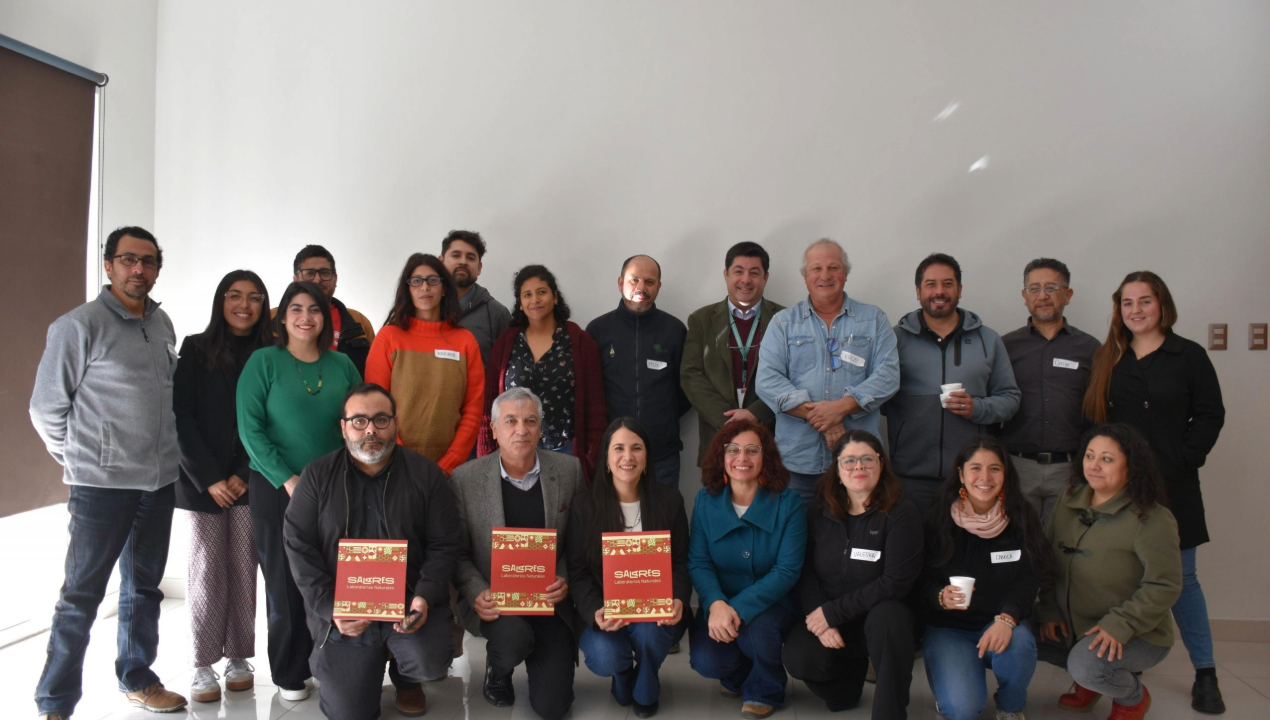 /ua-participa-en-hoja-de-ruta-colaborativa-de-nodo-salares-para-la